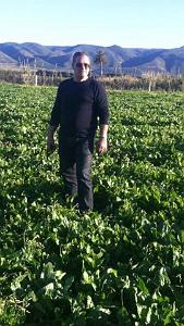 LES ANDALOUSES un champ de piments doux avec Saidou Ellul